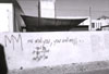 View this image larger